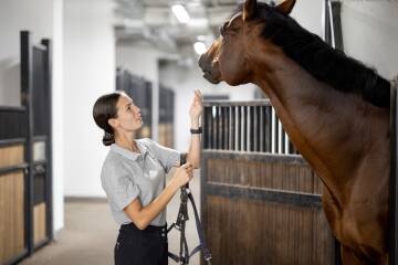 Sport Warmbloods International